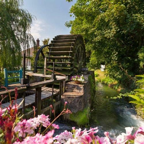 Le Clos Saint Vincent Manneville-ès-Plains Dış mekan fotoğraf